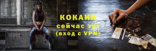 гидра Заводоуковск