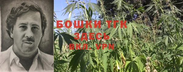 ALPHA-PVP Ельня
