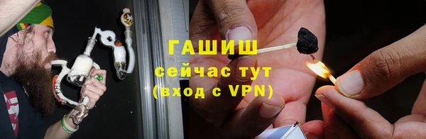 мдпв Елизово