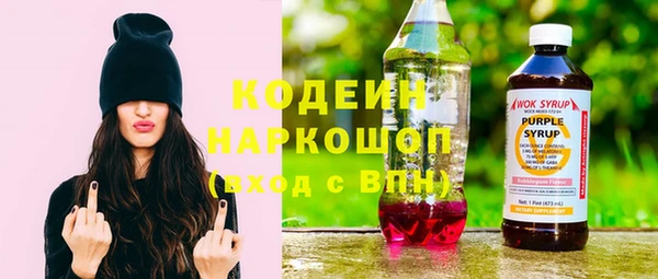 мдпв Елизово