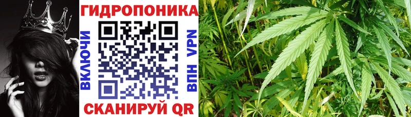 как найти закладки  Старица  Каннабис конопля 